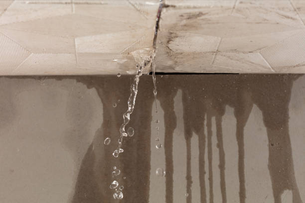 Professional Water Damage Inspection technician working in Breezy Point, MN